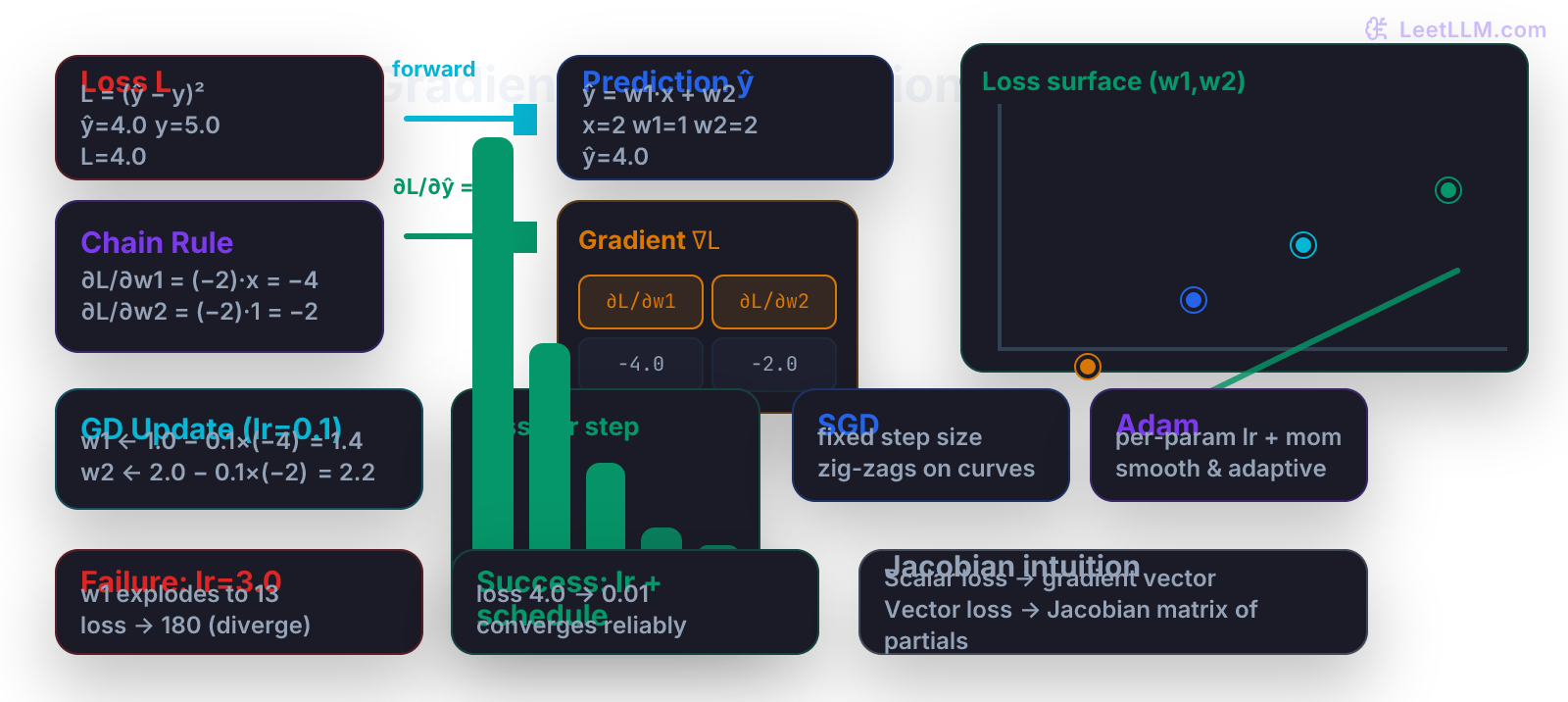 Calculus gradient flow illustration: loss L=(ŷ-y)² box, forward prediction ŷ=w1·x+w2, backward chain rule arrows showing ∂L/∂w1 = ∂L/∂ŷ · x with concrete numbers -4.0 and -2.0, gradient vector matrix, 2D loss surface descent path with 4 steps and arrows, loss bars dropping from 4.0 to 0.08 over steps, SGD vs Adam optimizer comparison boxes, and success (smooth convergence with lr schedule) vs failure (lr too large, loss explodes) paths for a delivery-time predictor