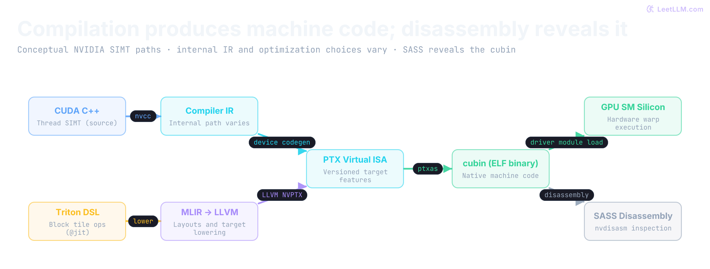 Conceptual NVIDIA SIMT compilation paths: CUDA C++ passes through compiler IR, Triton through MLIR and LLVM, and both reach PTX. ptxas creates a cubin, which can be loaded by the driver or disassembled into SASS. Internal IR and optimization choices depend on the compiler.