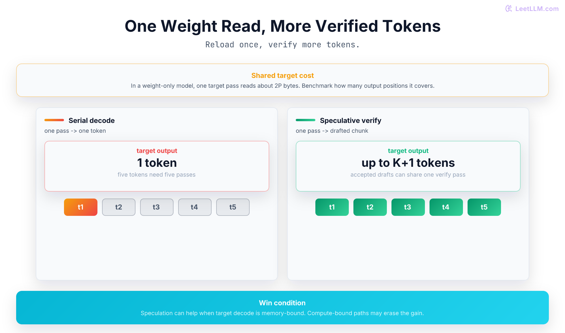 One Weight Read, More Verified Tokens