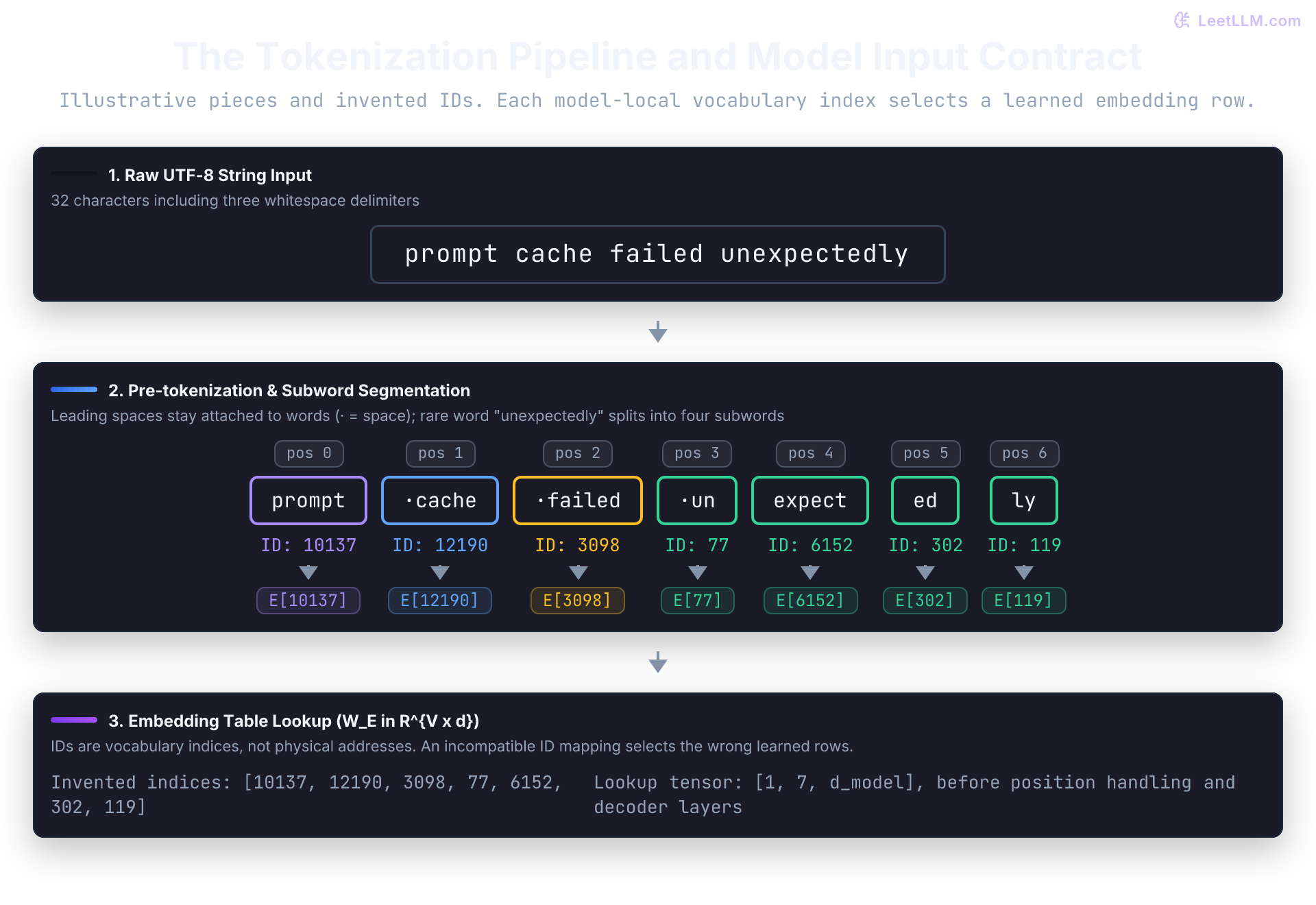 An illustrative pipeline segments prompt cache failed unexpectedly into seven pieces. Invented model-local IDs select embedding rows; the lookup tensor has shape one by seven by hidden dimension.