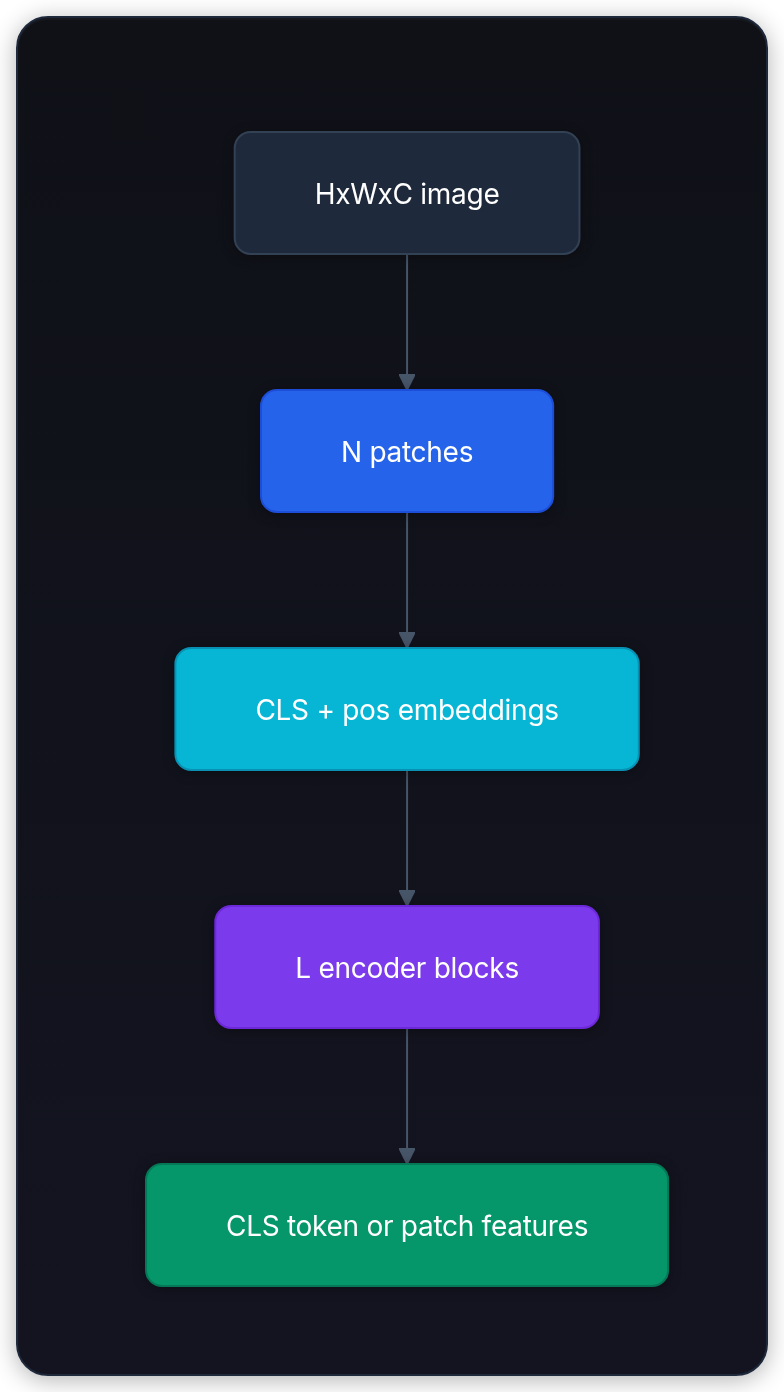 Diagram showing HxWxC image, N patches, CLS + pos embeddings, and L encoder blocks.