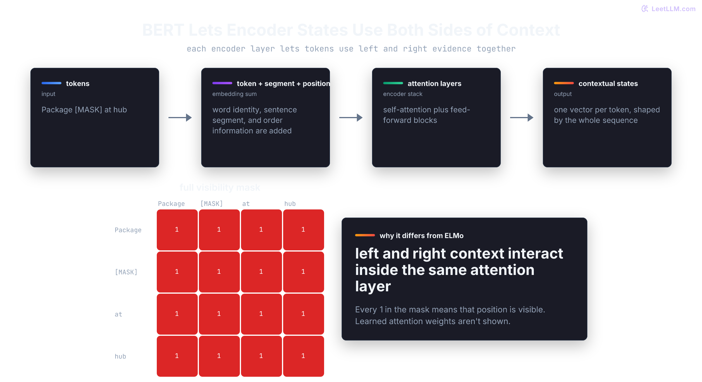 BERT encoder stack showing token, segment, and position embeddings entering bidirectional transformer layers that produce contextual token representations.