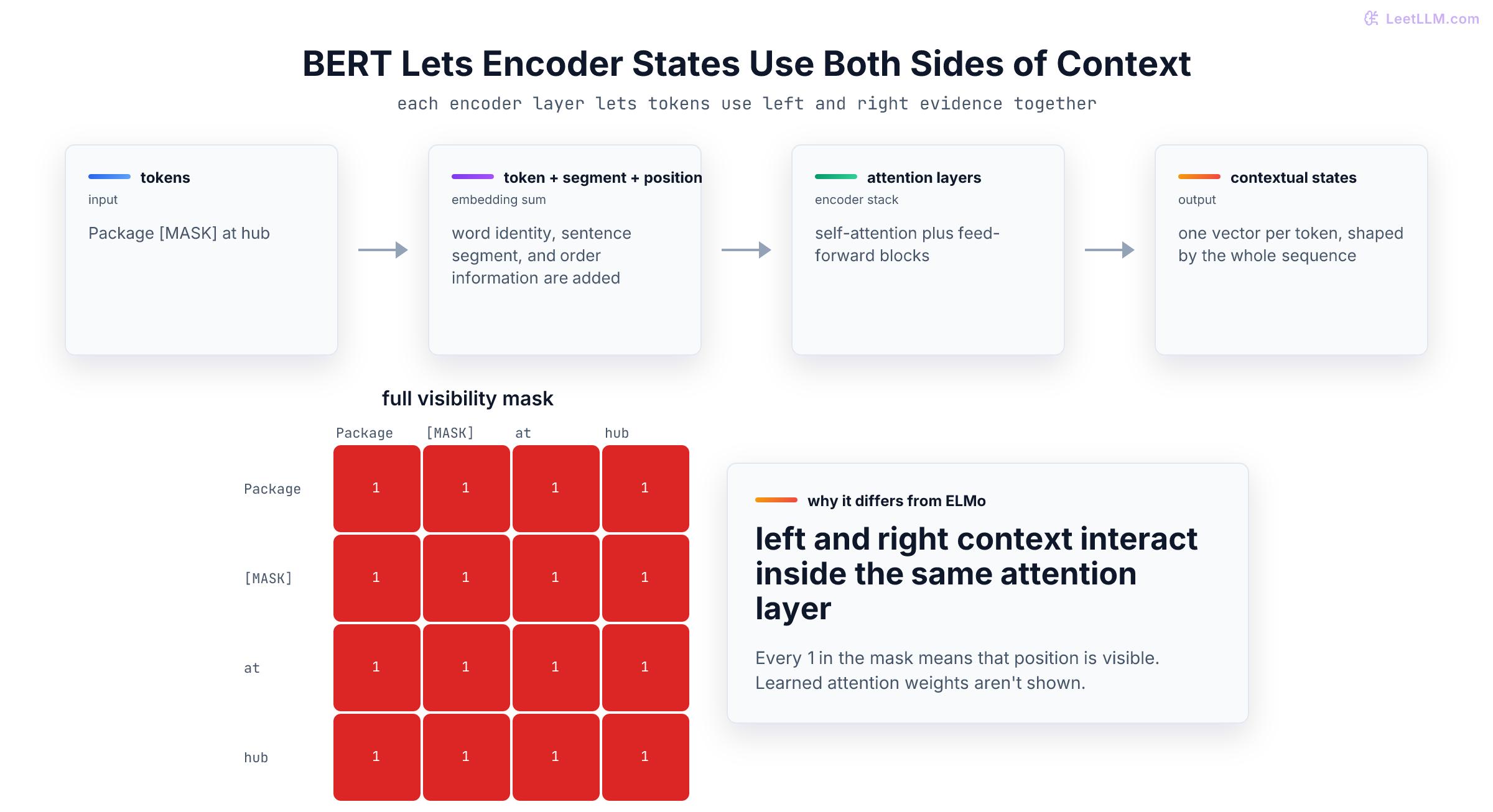 BERT encoder stack showing token, segment, and position embeddings entering bidirectional transformer layers that produce contextual token representations.