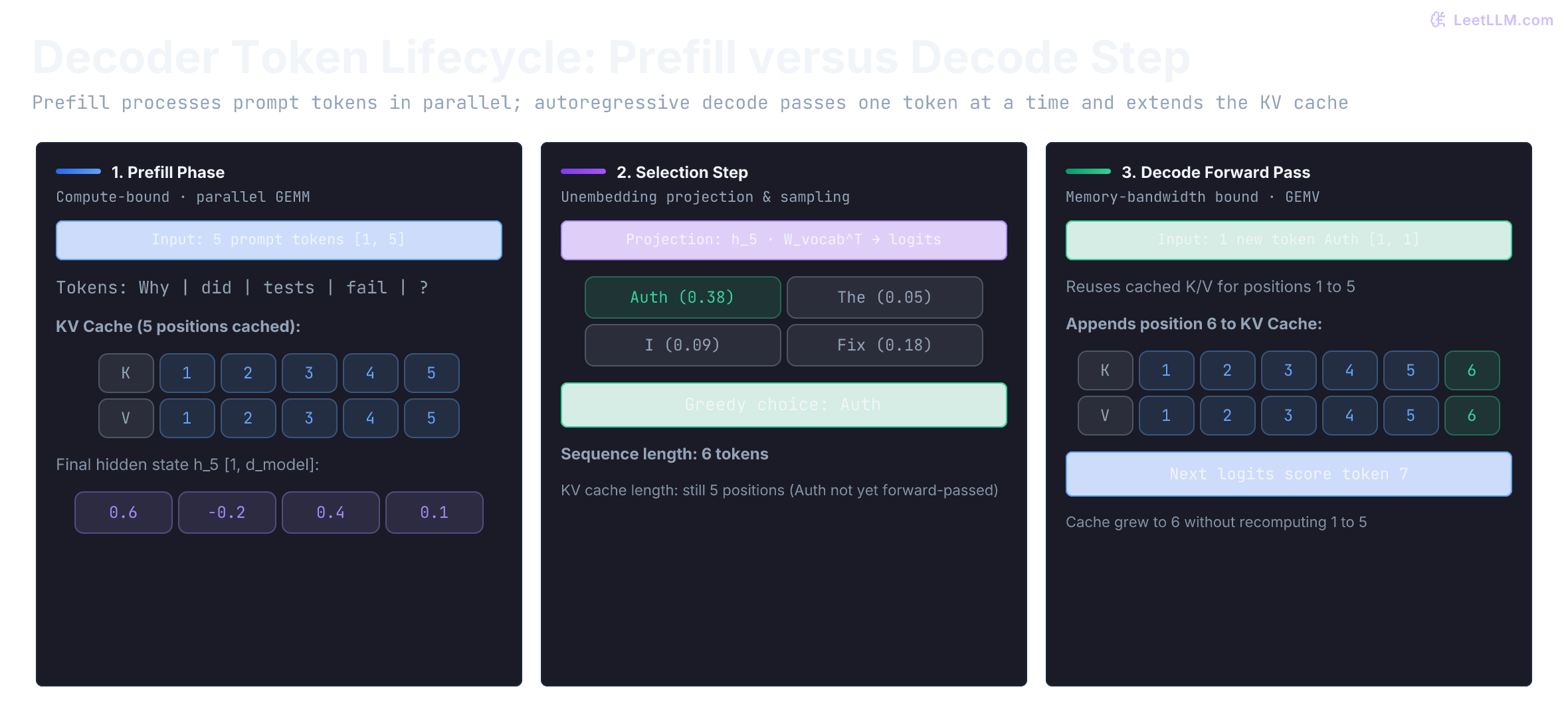 Three-step decoder token lifecycle: Prefill computes parallel hidden states and caches 5 K/V positions; Sampling selects the next token Auth leaving cache length 5; Decode processes Auth in the next forward pass and extends the KV cache to 6 positions.