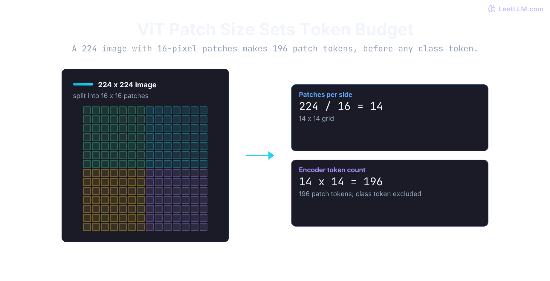 Vision Transformer patch-token calculation where a 224 by 224 image is divided into a 14 by 14 grid of 16-pixel patches, producing 196 encoder tokens before any class token or projector compression.