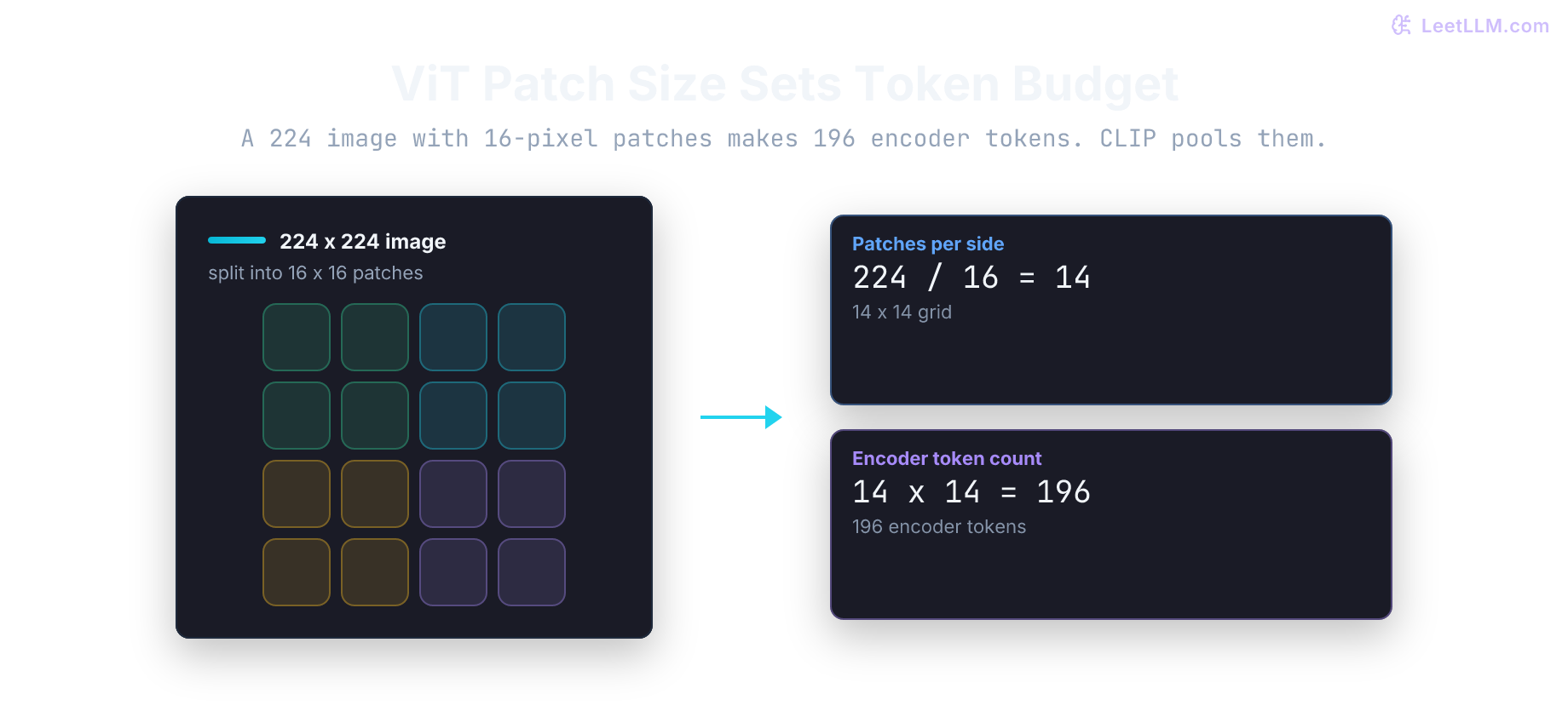 Vision Transformer patch-token calculation where a 224 by 224 image is divided into a 14 by 14 grid of 16-pixel patches, producing 196 encoder tokens before any class token or projector compression.